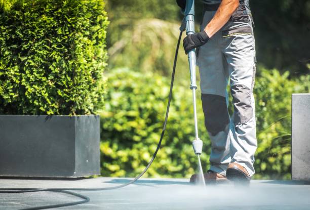 Best Solar Panel Cleaning  in Skippers Corner, NC